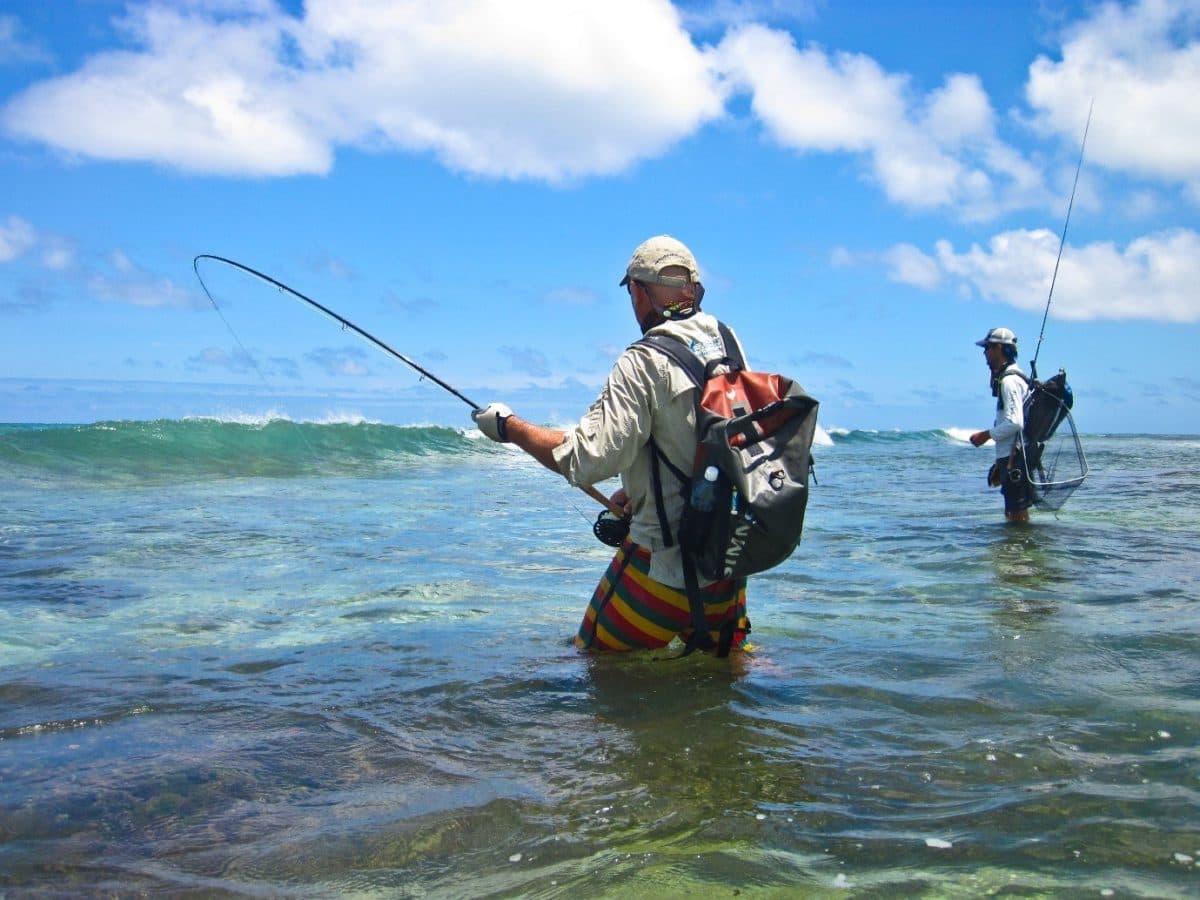 Top 10 Best Fly Fishing Rods for 2025
