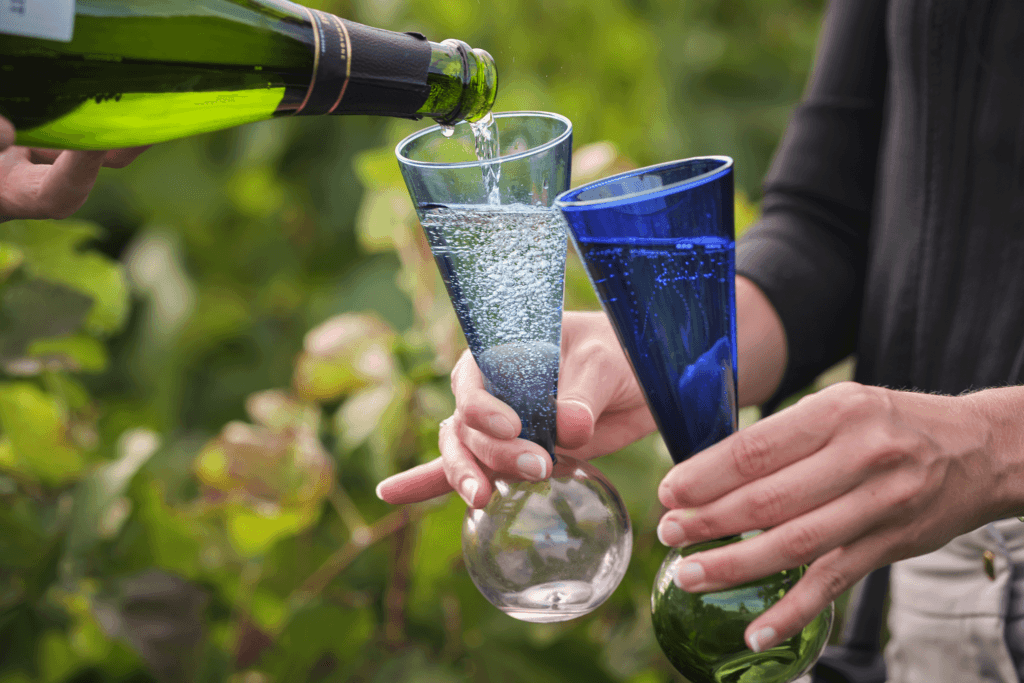 Clarksburg CA Wineries: A Wine Tasting Experience You’ll Never Forget