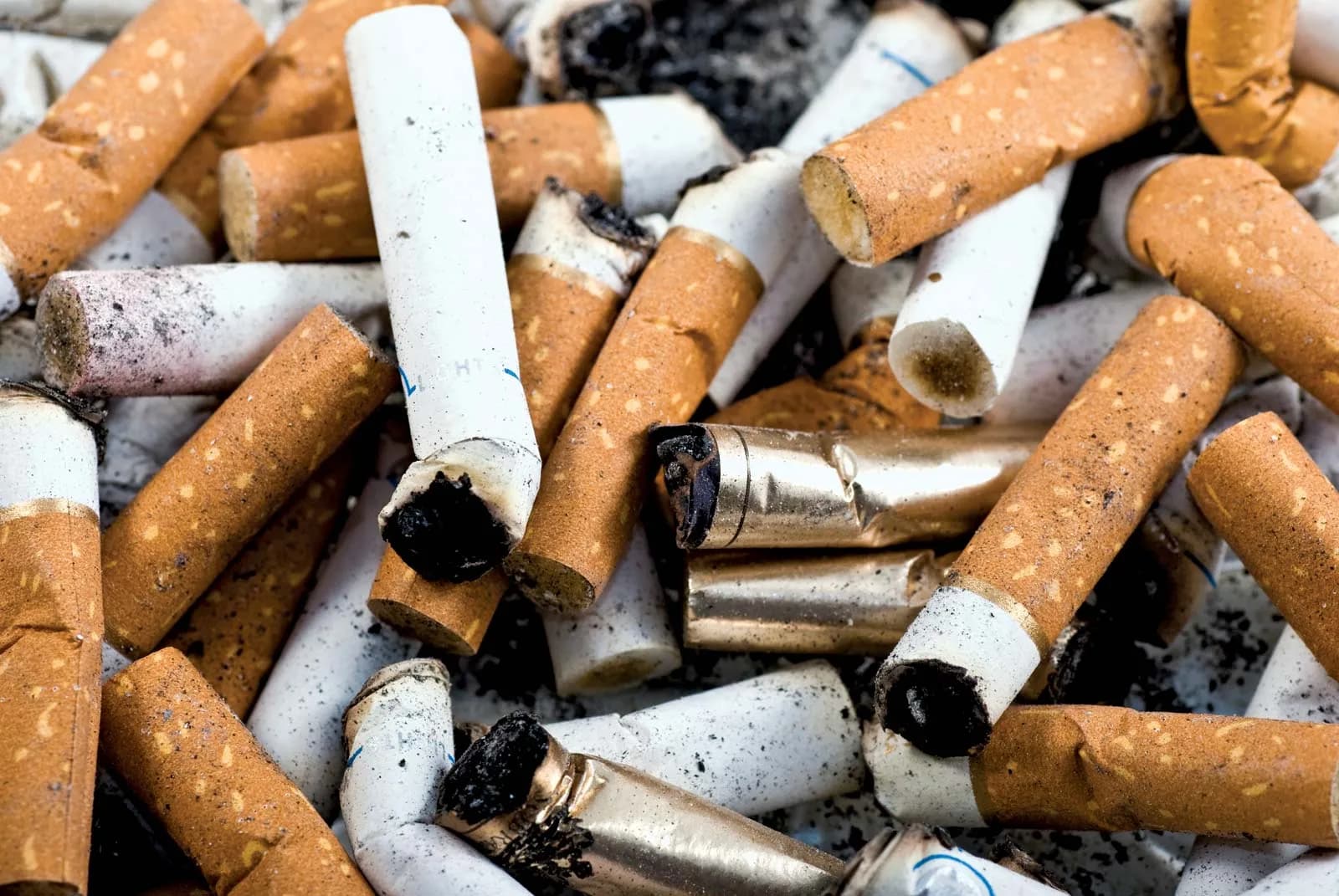 Shop Native Smokes for Less with My Native Smokes