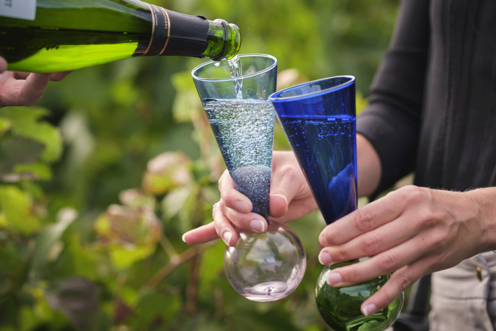 Clarksburg CA Wineries: A Wine Tasting Experience You’ll Never Forget