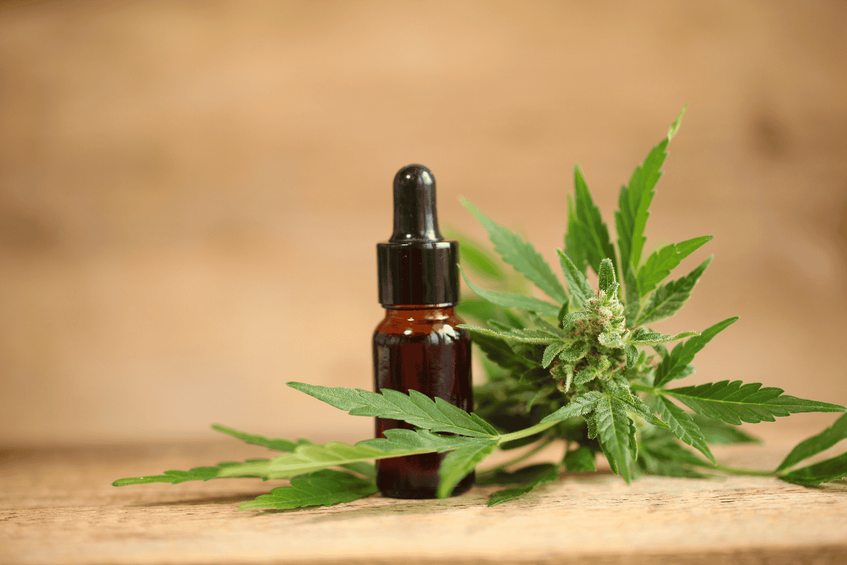 How to make thc oil: Common Mistakes to Avoid