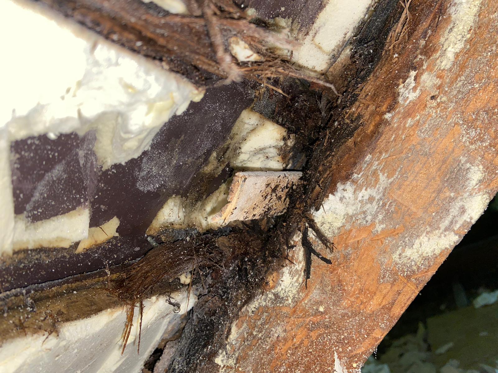 Spray Foam Removal For Mortgage Issues in the UK