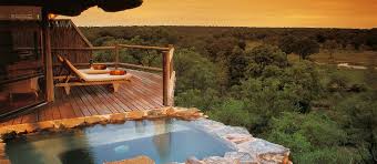 Exclusive South African Safari Experiences Designed by Experts