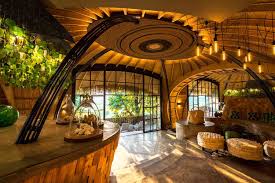 Experience the Best of South Africa on a Luxury Safari