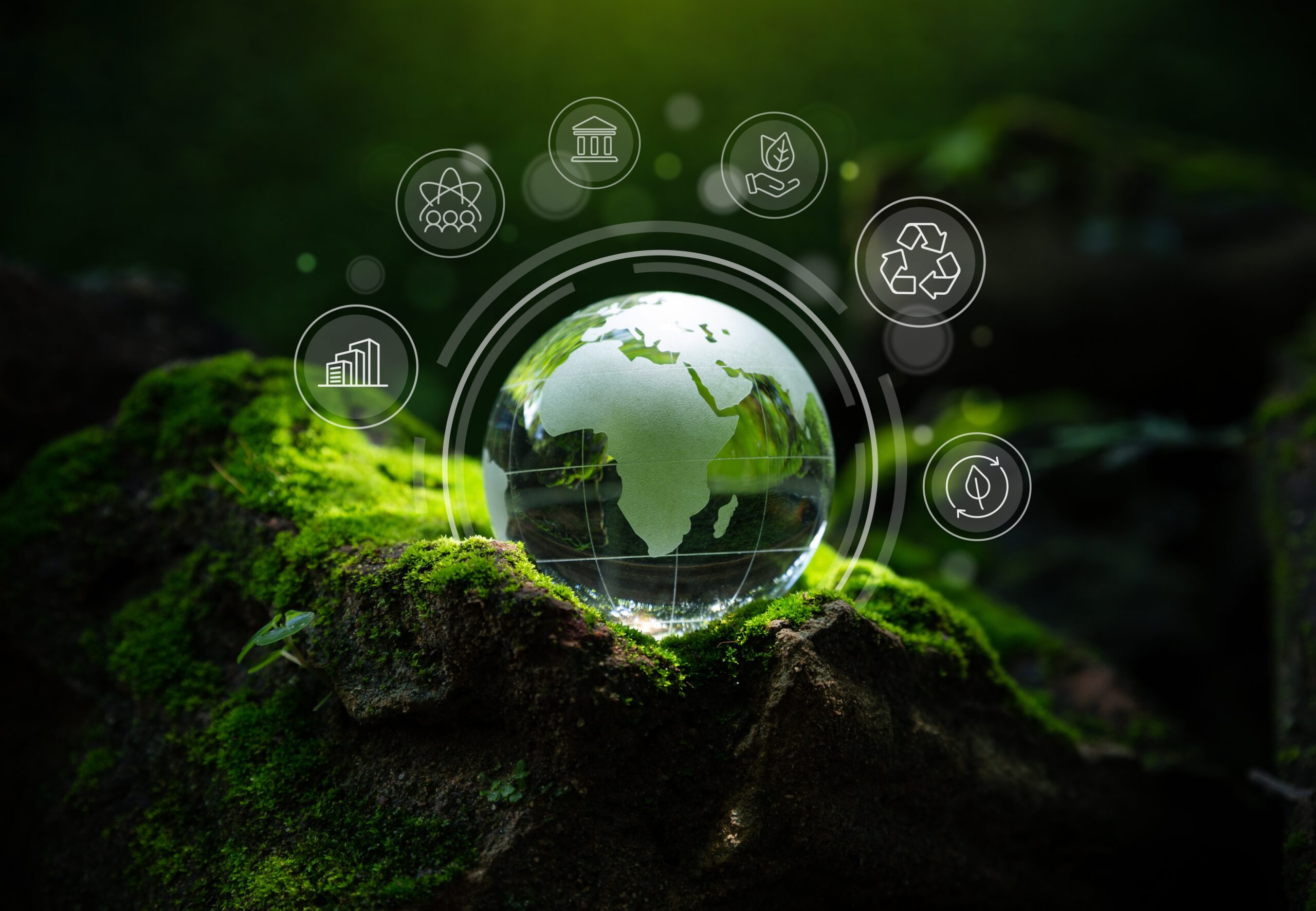 From Grower to Kitchen: Our Sustainable Process