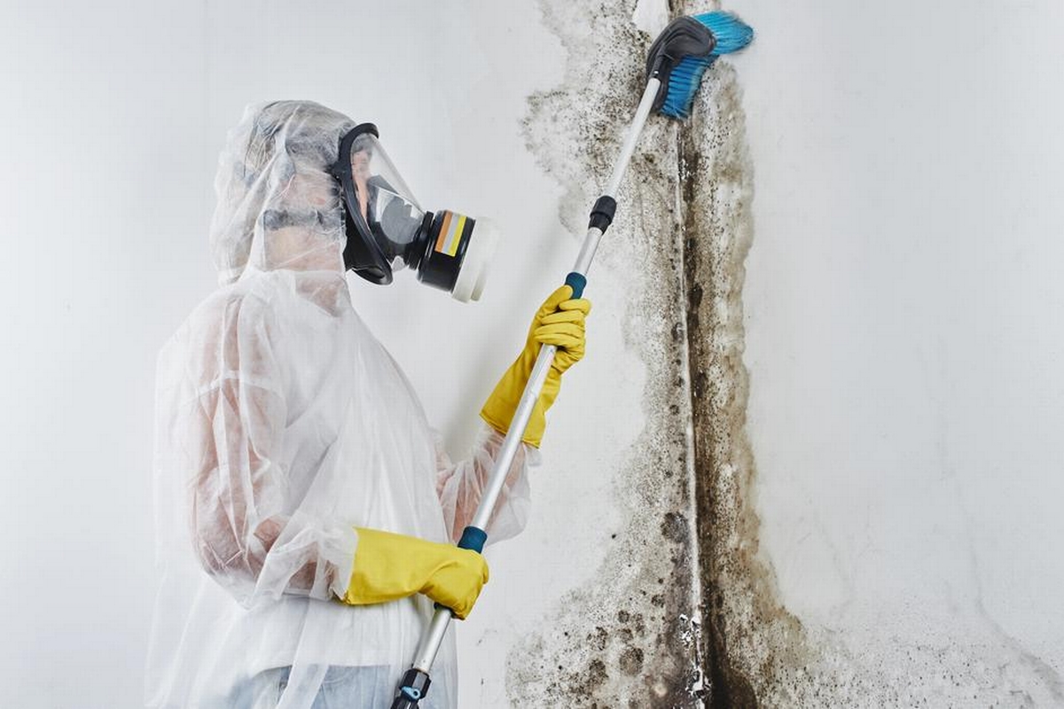 Certified Experts for mold remediation downtown austin tx