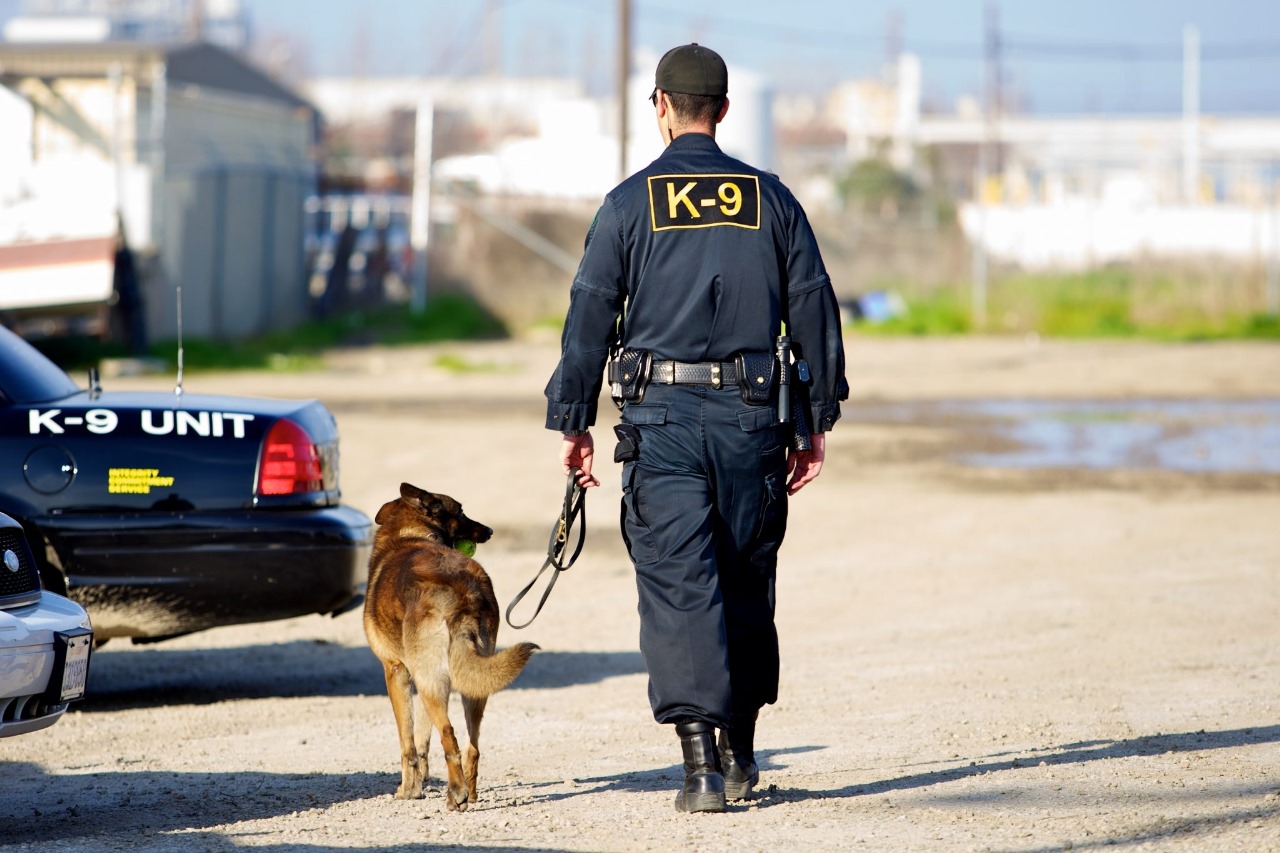 How Security Dog Services Birmingham Enhance Physical Security
