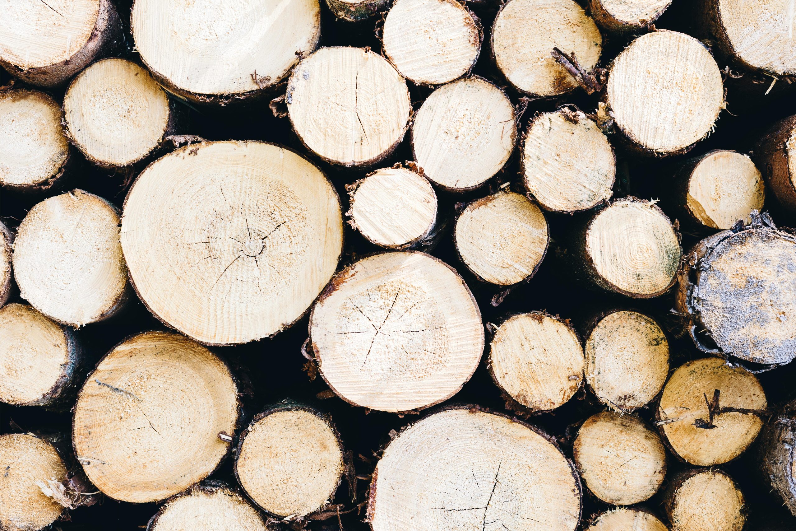 Reliable and Long-Lasting Fire Briquettes Switzerland for Winter Heating