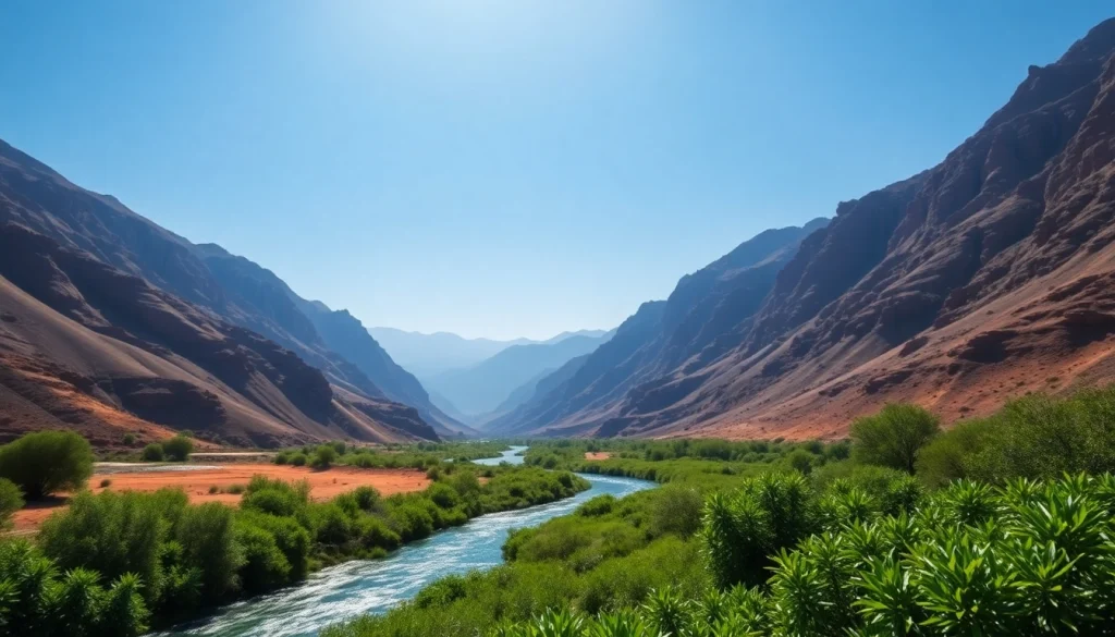 استعراض وادي السعودية على موقع saudiwadi.com مع عرض لبيئة طبيعية ساحرة.